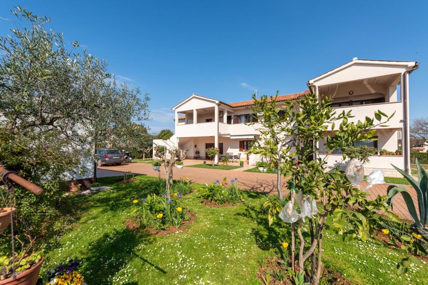 Apartment Marchela Nova Vas  Exterior photo